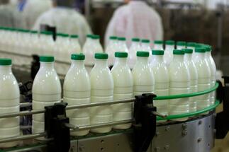 Cooperativa Tara Mea investeste 9 milioane de euro in fabricile produse lactate in 2018