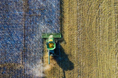 Grup Șerban Holding accelerează investițiile în depozitare și procesare agricolă la nivel național