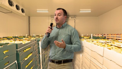 Centre logistice cu energie independentă: viitoarea generație de depozite frigorifice pentru sectorul agroalimentar