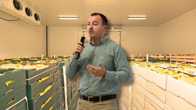 Centre logistice cu energie independentă: viitoarea generație de depozite frigorifice pentru sectorul agroalimentar