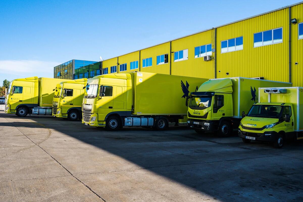 Investiția AQUILA de 5 milioane EUR în automatizare: Un model pentru depozitarea pregătită pentru viitor în România