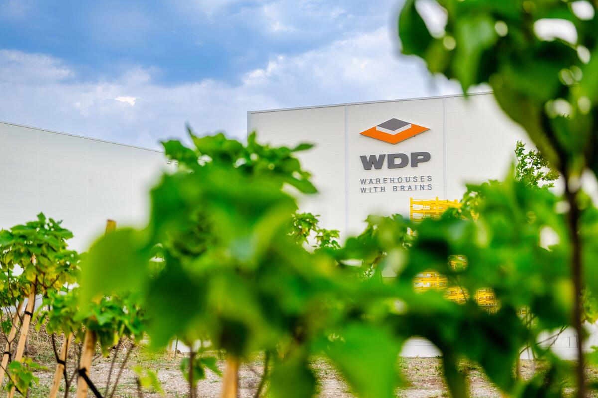 Rezultatele financiare WDP pentru primul semestru din 2026