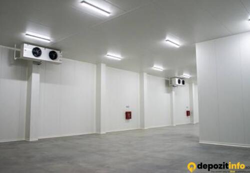 Depozite de închiriat în DEPOZIT REFIGERATE BACAU