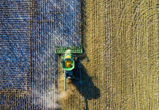 Grup Șerban Holding accelerează investițiile în depozitare și procesare agricolă la nivel național