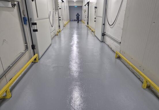 Depozit frig congelate Constanta Ovidiu