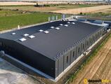 Depozite de închiriat în Alezzi Logistics I